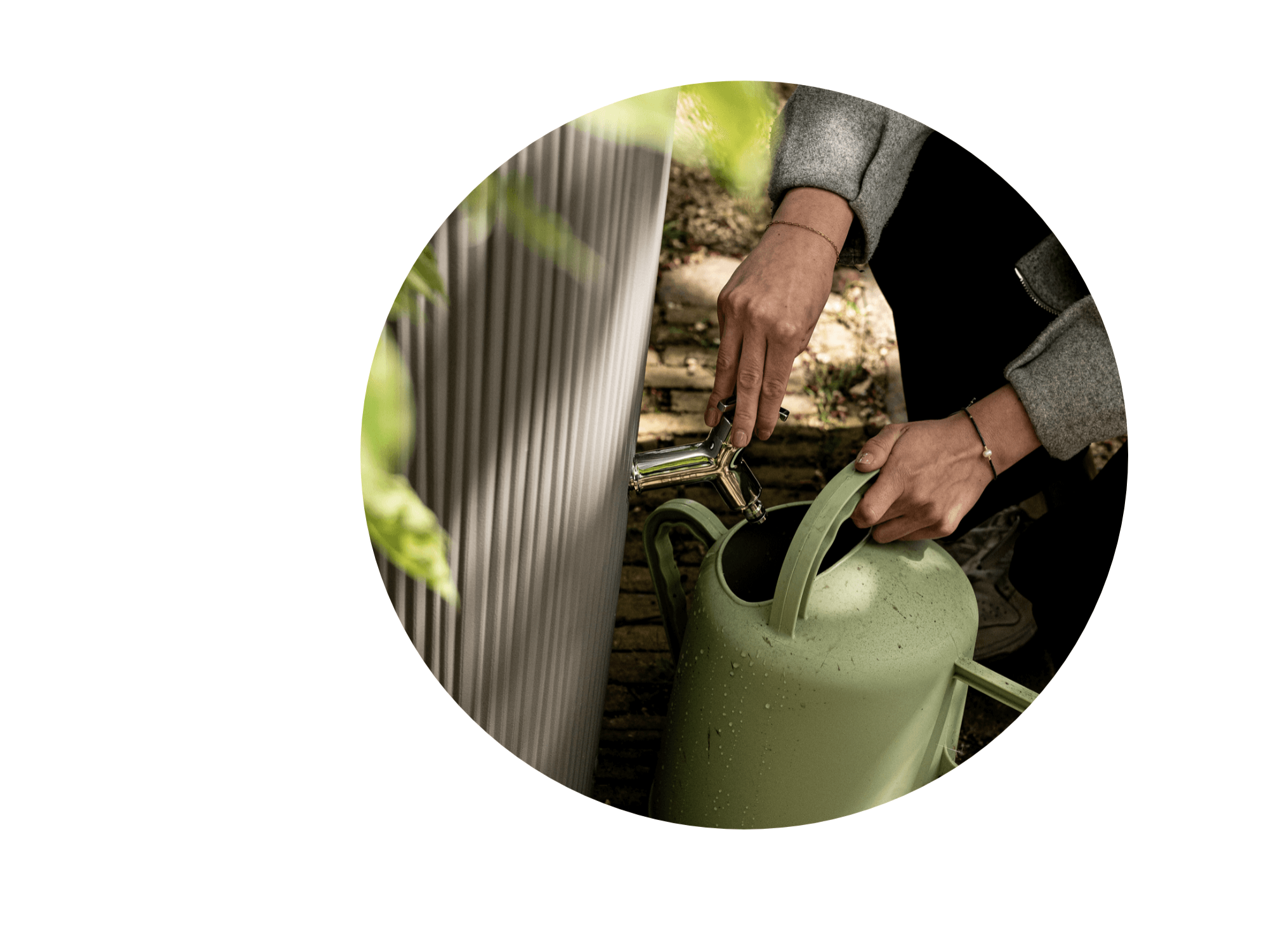 Regenton Ontdek alles over de regenton! | Soluvert